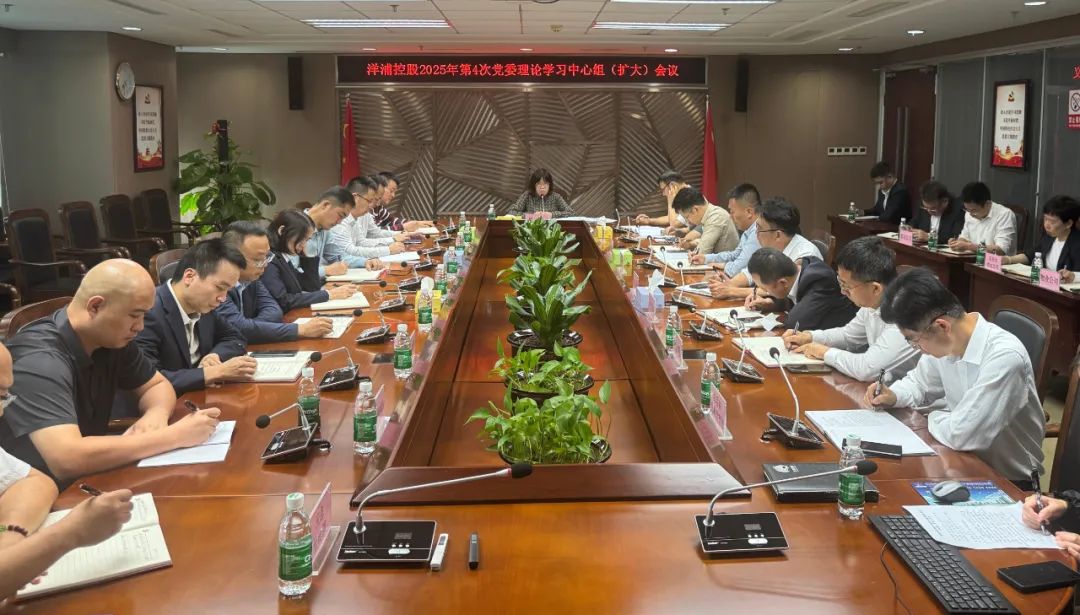 洋浦控股召开党委理论学习中心组（扩大）...